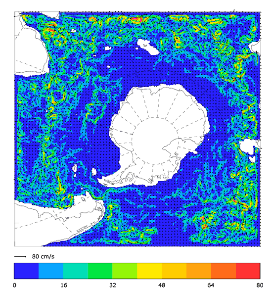 FOAM velocity at 995.5 m for 01 February 2008