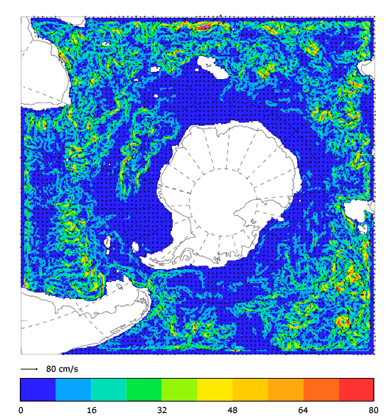 FOAM velocity at 995.5 m for 01 March 2008