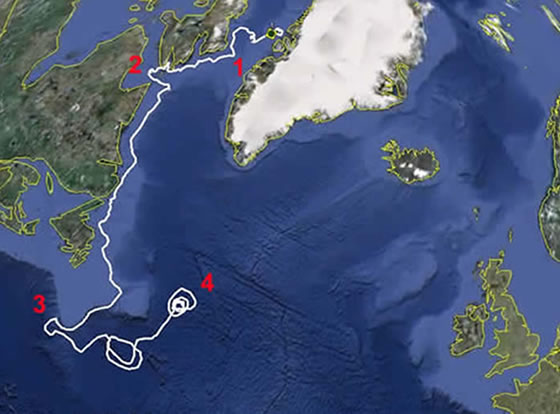 The path taken by float 05558. Its 3,500 km journey has taken approximately 1 year, although it has been caught in a warm core eddy (4) for 2 months