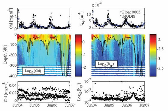 Comparison of Argo and satellite derived chlorophyll data