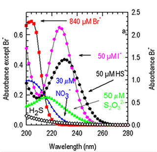 UV absorbance spectra for seawater.