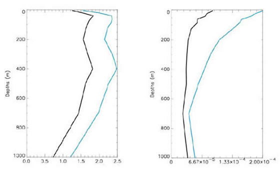 Root-mean-square errors as a function of depth over a 5-year reanalysis of the FOAM system for (left) temperature (°C) and (right) salinity (psu/1000). The black line shows the errors when all in situ data are assimilated, and the blue line shows the errors when all data except Argo data are assimilated.