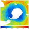 FOAM potential temperature for 01 August 2005