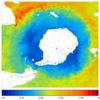 FOAM potential temperature for 01 August 2006