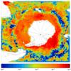 FOAM salinity for 01 September 2008