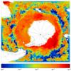 FOAM salinity for 01 October 2008