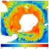 FOAM salinity for 01 April 2005