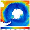 FOAM potential temperature for 01 May 2005