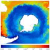 FOAM potential temperature for 01 July 2005