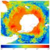 FOAM salinity for 01 July 2005