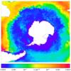 FOAM potential temperature for 01 February 2005