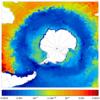 FOAM potential temperature for 01 October 2005