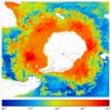 FOAM salinity for 01 October 2005