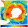 FOAM salinity for 01 November 2005