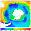 FOAM potential temperature for 01 August 2004