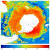 FOAM salinity for 01 November 2006