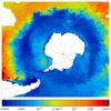 FOAM potential temperature for 01 August 2007