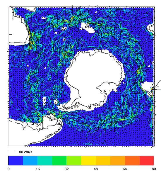 FOAM velocity at 995.5 m for 01 July 2004