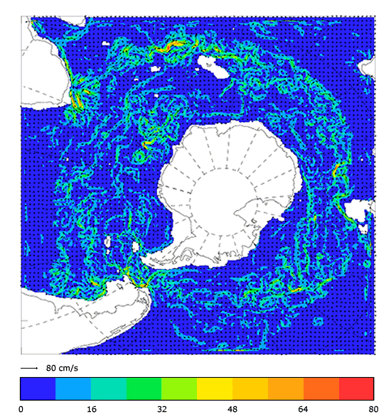 FOAM velocity at 995.5 m for 01 August 2004
