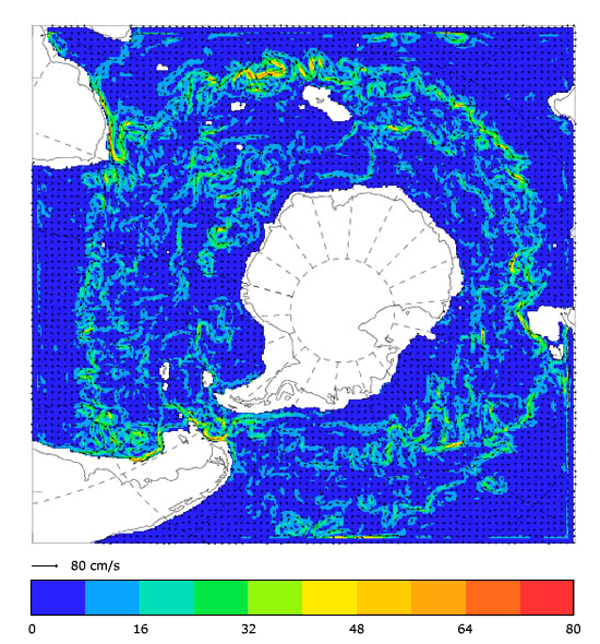 FOAM velocity at 995.5 m for 01 October 2004