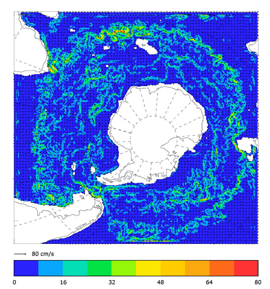 FOAM velocity at 995.5 m for 01 November 2004