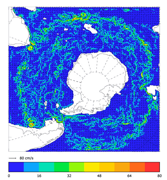 FOAM velocity at 995.5 m for 01 February 2005