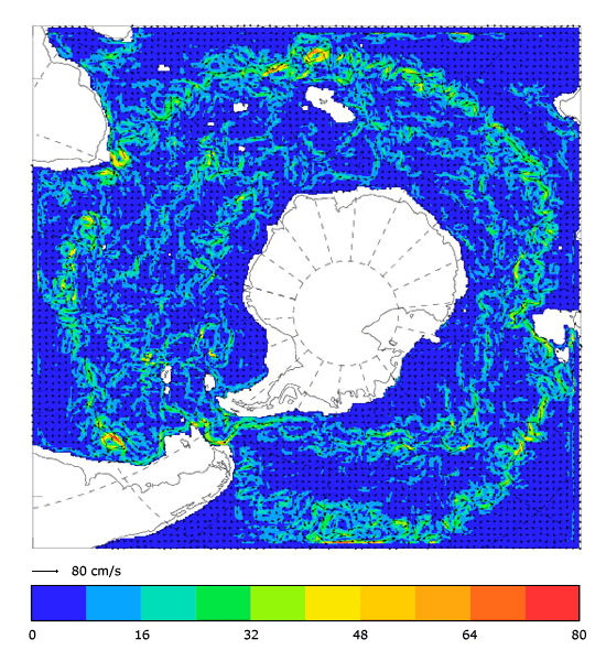 FOAM velocity at 995.5 m for 01 March 2005