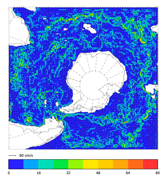 FOAM velocity at 995.5 m for 01 June 2005