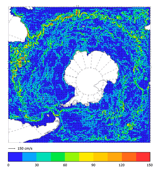 FOAM velocity at 5 m for 01 August 2005