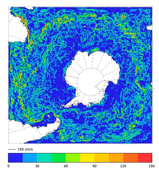 FOAM velocity at 5 m for 01 February 2006