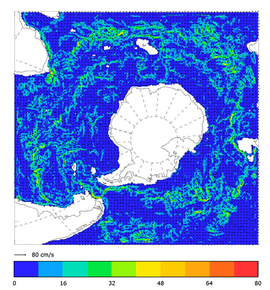 FOAM velocity at 995.5 m for 01 February 2006