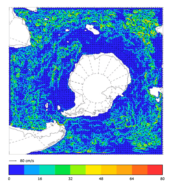 FOAM velocity at 995.5 m for 01 June 2007