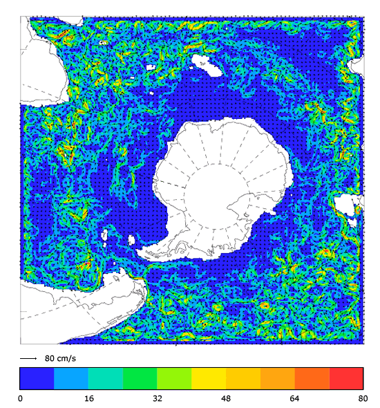 FOAM velocity at 995.5 m for 01 June 2008