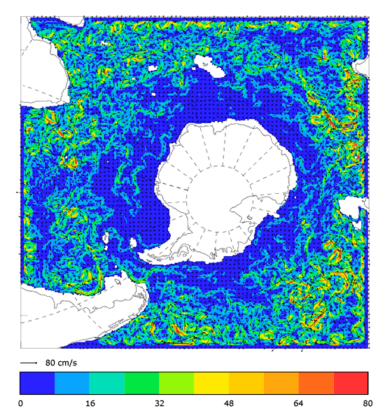 FOAM velocity at 995.5 m for 01 August 2008