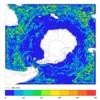 FOAM velocity for 03 January 2008