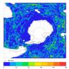 FOAM velocity for 01 February 2009