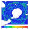 FOAM velocity for 01 June 2005