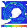 FOAM velocity for 01 January 2005