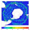 FOAM velocity for 01 February 2005