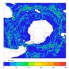 FOAM velocity for 01 February 2006