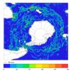 FOAM velocity for 01 August 2004