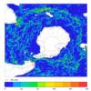 FOAM velocity for 01 August 2006