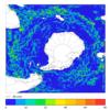 FOAM velocity for 01 November 2006