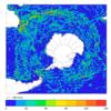 FOAM potential temperature for 01 August 2004