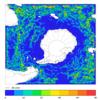 FOAM velocity for 01 February 2008