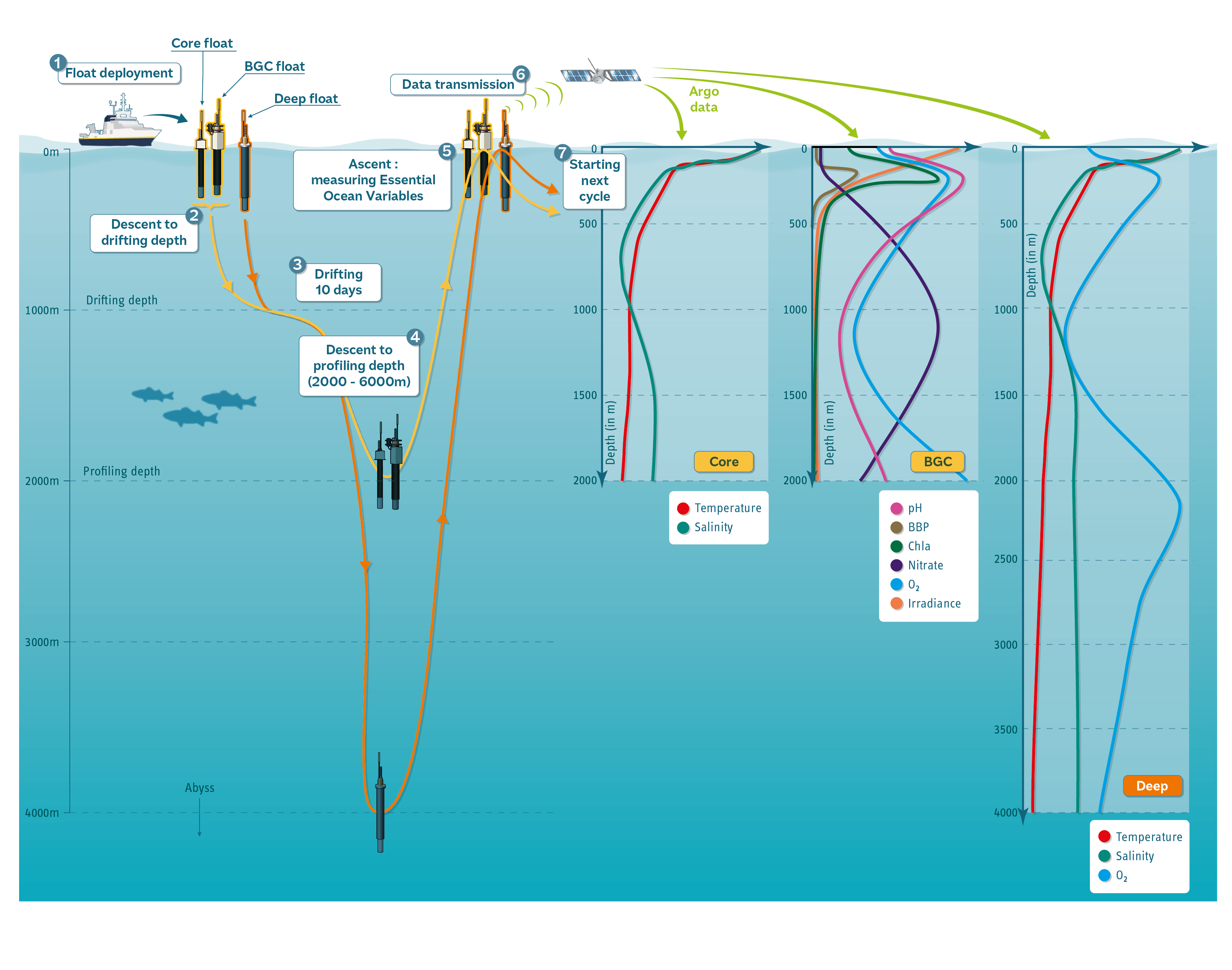 Figure: Graphical representation of the three missions of Argo cycle floats